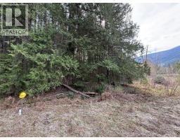 Fern Road Lot# 122, Appledale, BC V0G2J0 Photo 7