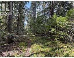 Fern Road Lot# 122, Appledale, BC V0G2J0 Photo 23