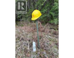 Fern Road Lot# 122, Appledale, BC V0G2J0 Photo 6