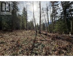 Fern Road Lot# 122, Appledale, BC V0G2J0 Photo 13