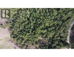 Fern Road Lot# 122, Appledale, BC V0G2J0 Photo 8