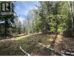 Fern Road Lot# 122, Appledale, BC V0G2J0 Photo 25