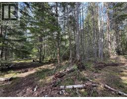 Fern Road Lot# 122, Appledale, BC V0G2J0 Photo 22
