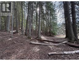 Fern Road Lot# 122, Appledale, BC V0G2J0 Photo 9