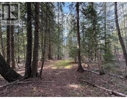 Fern Road Lot# 122, Appledale, BC V0G2J0 Photo 24