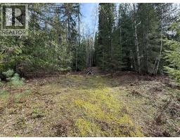 Fern Road Lot# 122, Appledale, BC V0G2J0 Photo 14