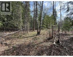 Fern Road Lot# 122, Appledale, BC V0G2J0 Photo 12