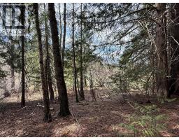 Fern Road Lot# 122, Appledale, BC V0G2J0 Photo 11