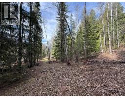 Fern Road Lot# 122, Appledale, BC V0G2J0 Photo 15
