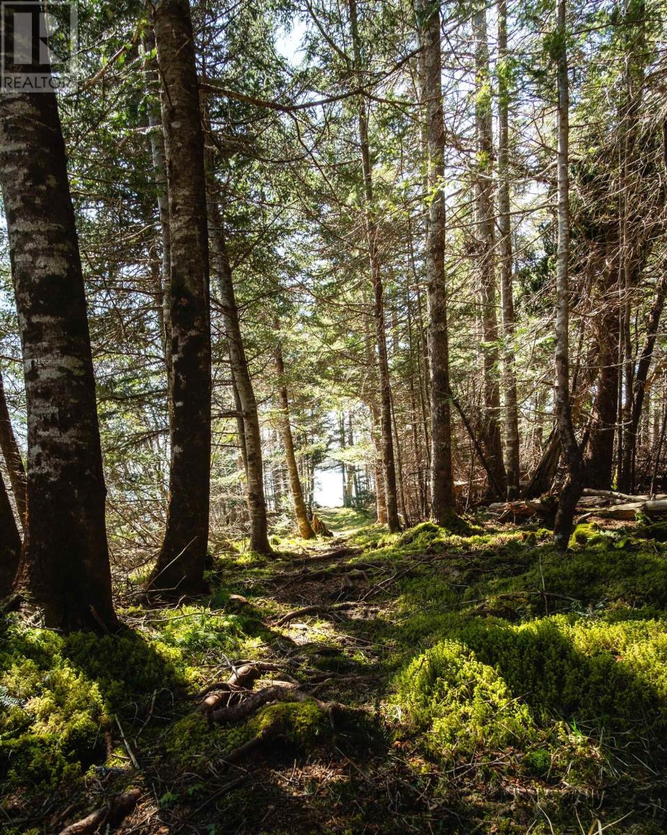 Property 40 of 48 of 85 Walkerville Road