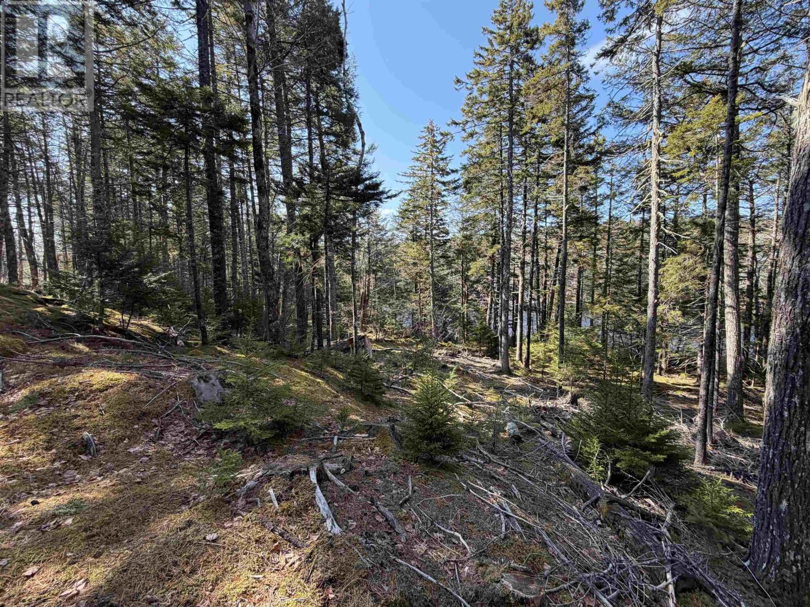 Property 8 of 11 of Lot 2 Narrows Road