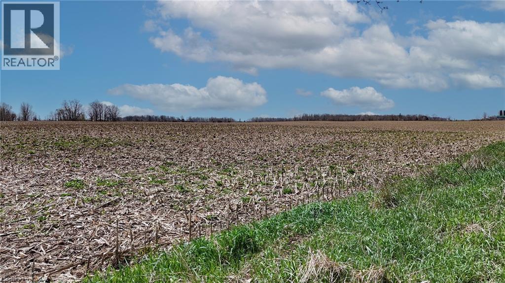 Expansive agricultural field with visible crop residue and emerging green growth