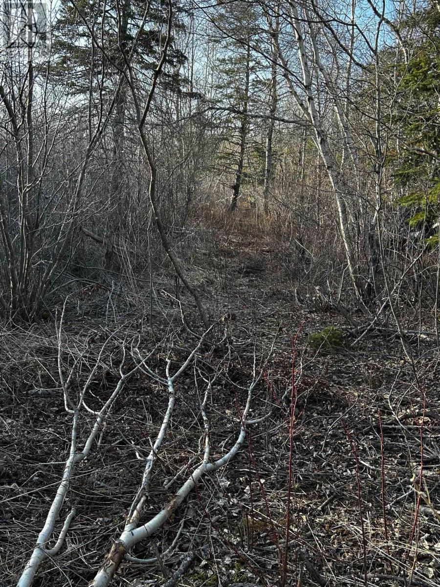 Property 3 of 5 of Lot EAN-1B West Tatamagouche Road