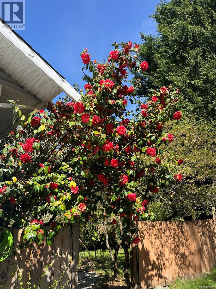 9146 West Saanich Rd, North Saanich