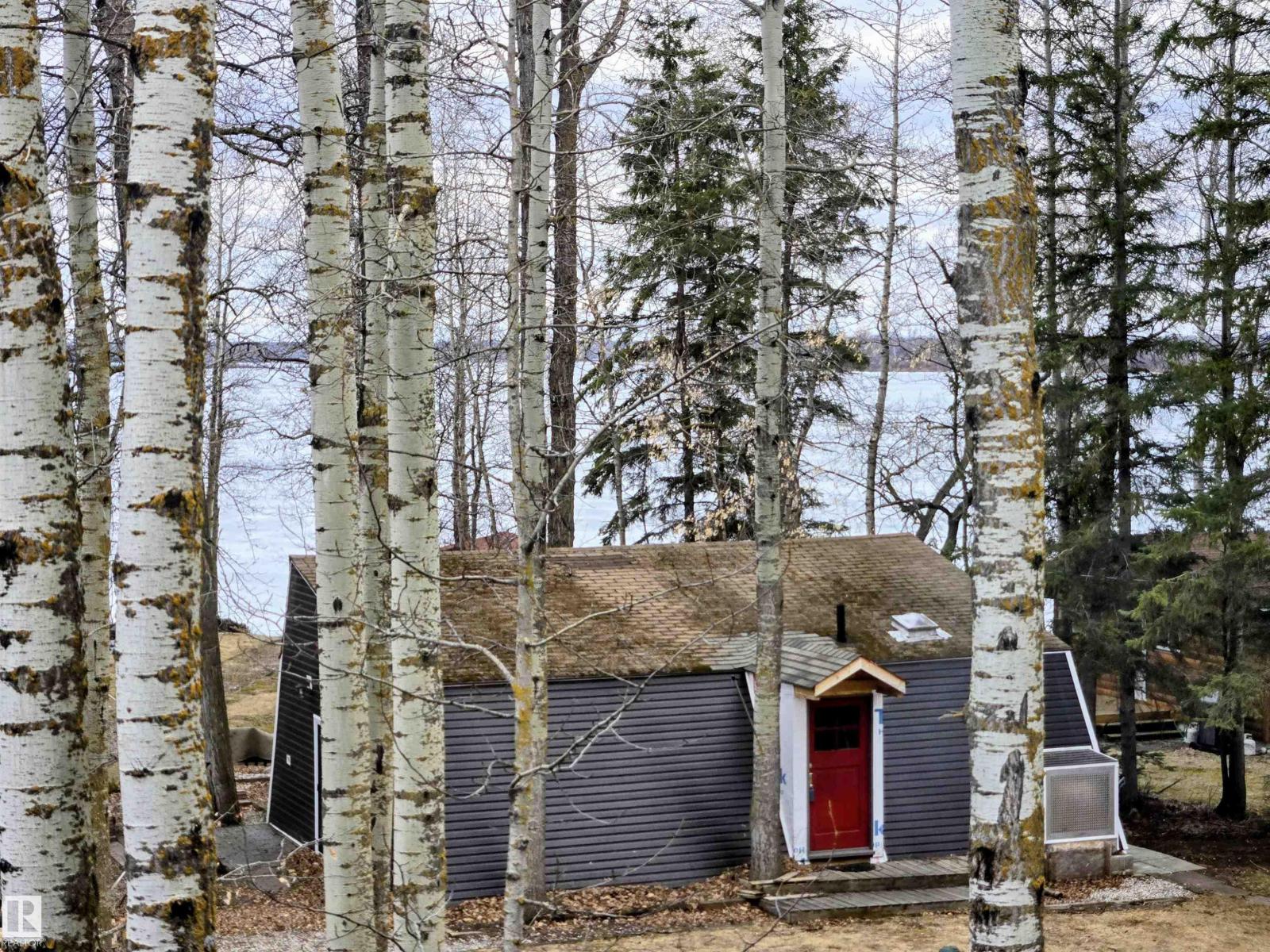5 Conifer CR