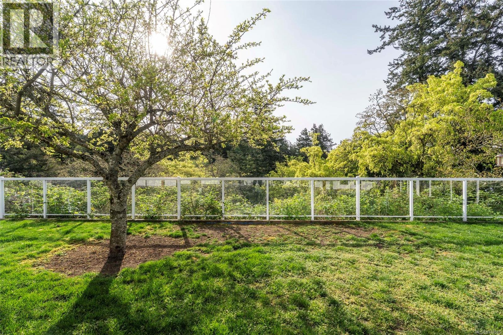 77 View Royal Ave - 47