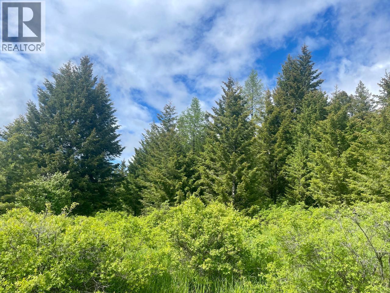  1355 TIMBERWOLF Trail, Rock Creek