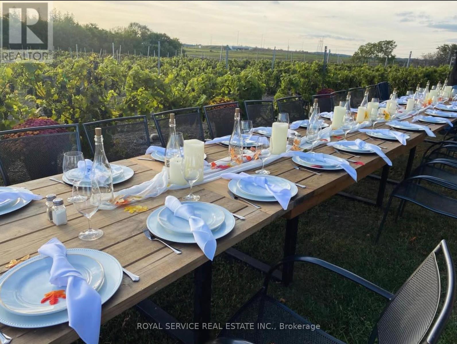 Table set up in the vineyard, ready for its guests