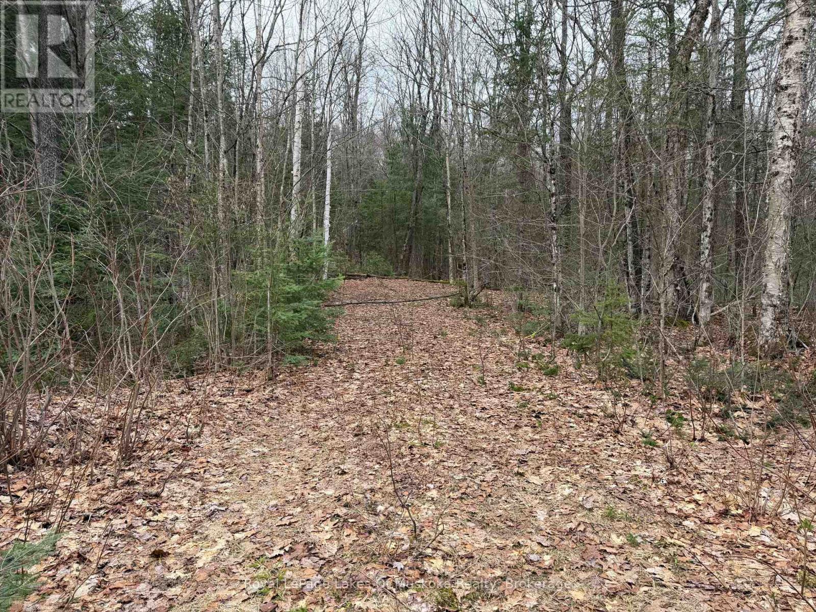 Laneway from Year Round Road