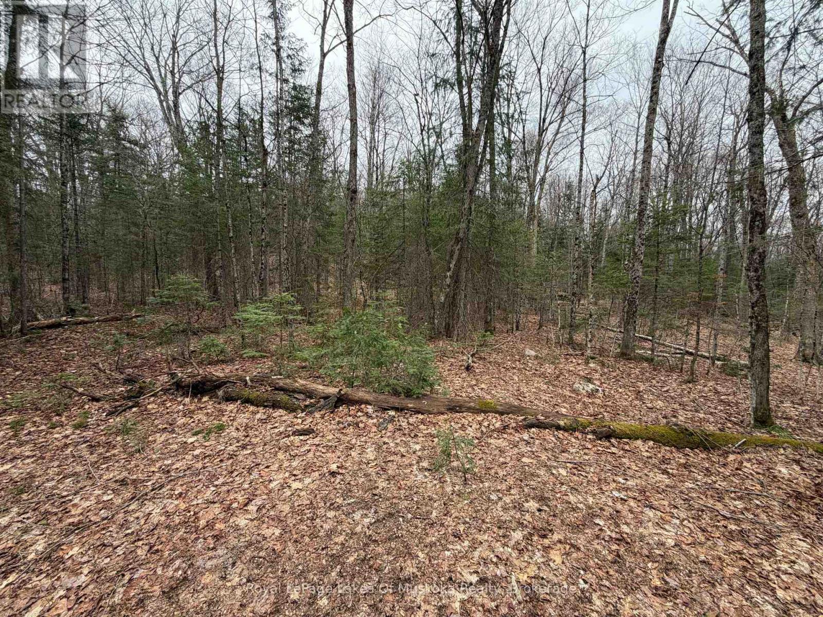 Looking into Lot from End of Laneway