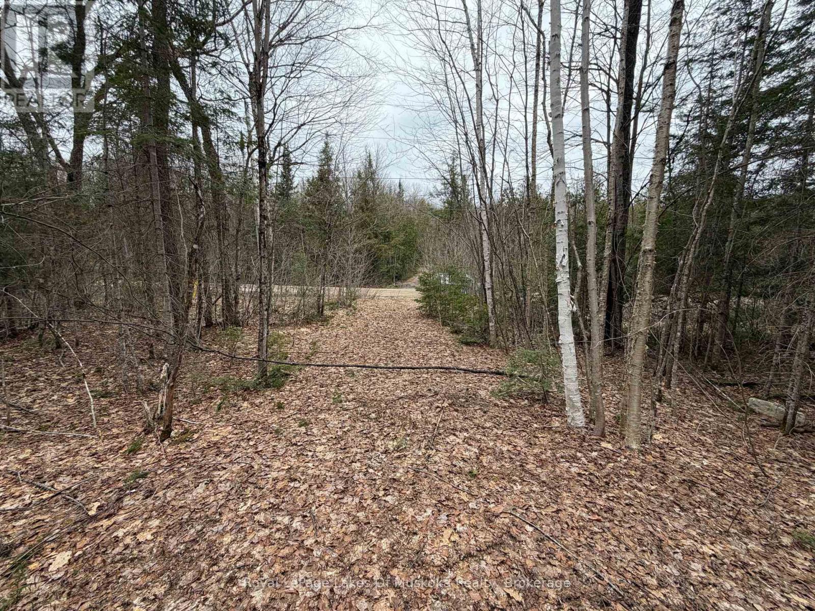 End of Laneway Toward Road