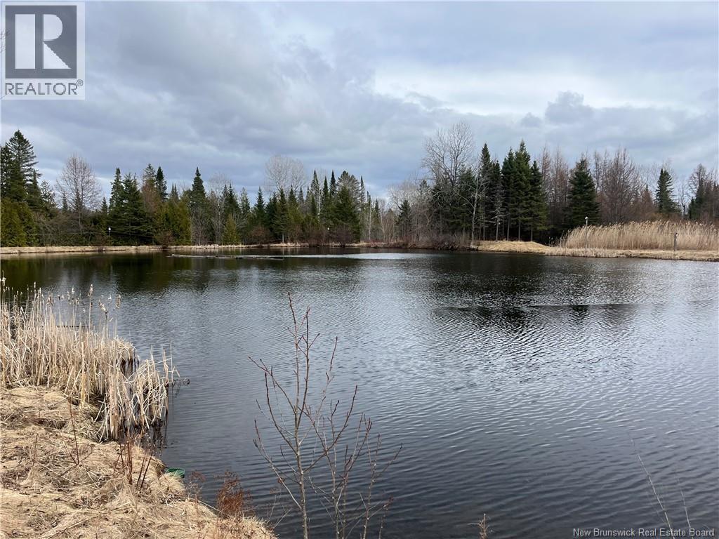 1359 Route 110 — photo 21