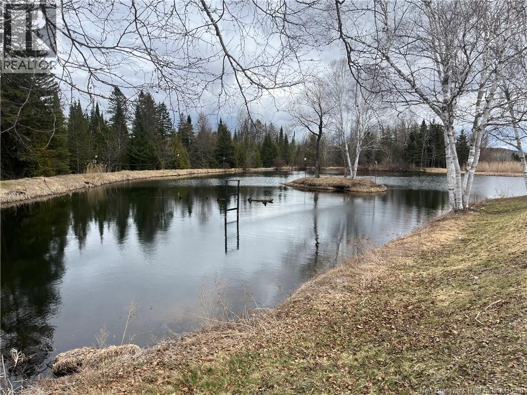 1359 Route 110 — photo 22