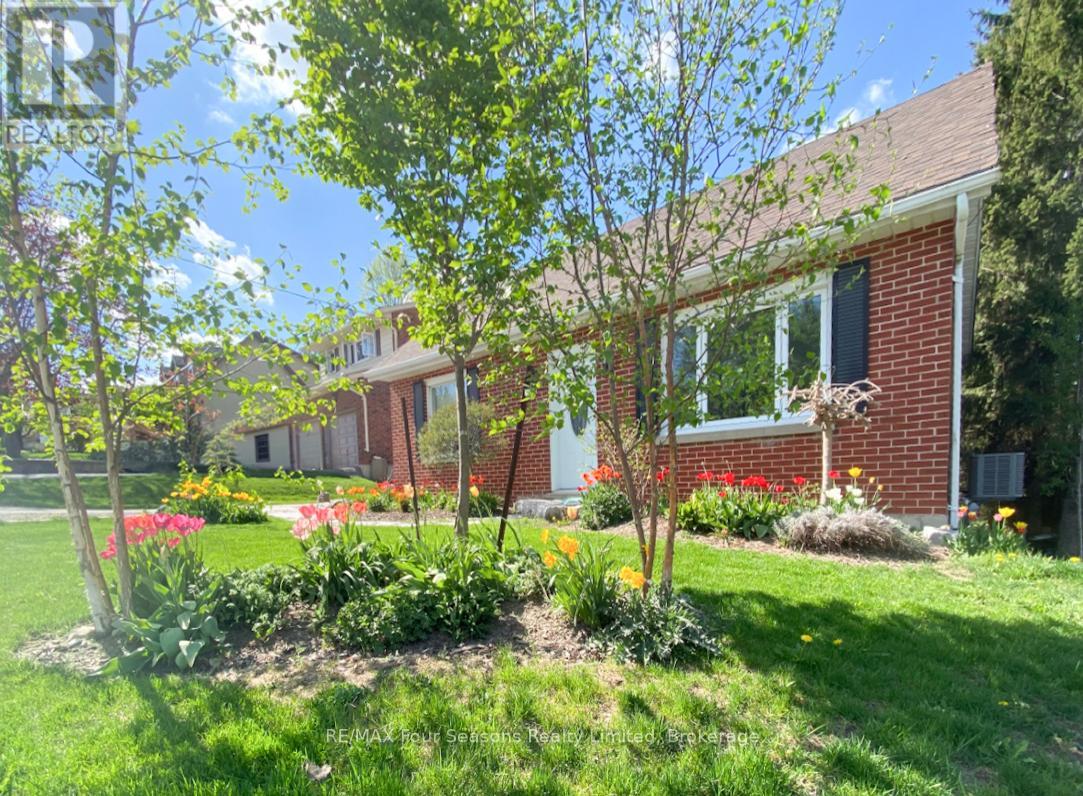 50 AMARANTH STREET W - 1