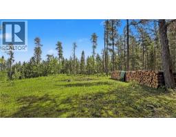194 Meadow Brook Road, Cains River, NB E9B0E6 Photo 26