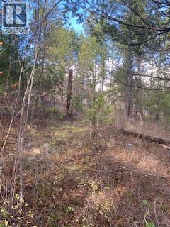 10451 Westshore Road, Vernon