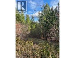 10451 Westshore Road, Vernon, BC V1H2B2 Photo 9