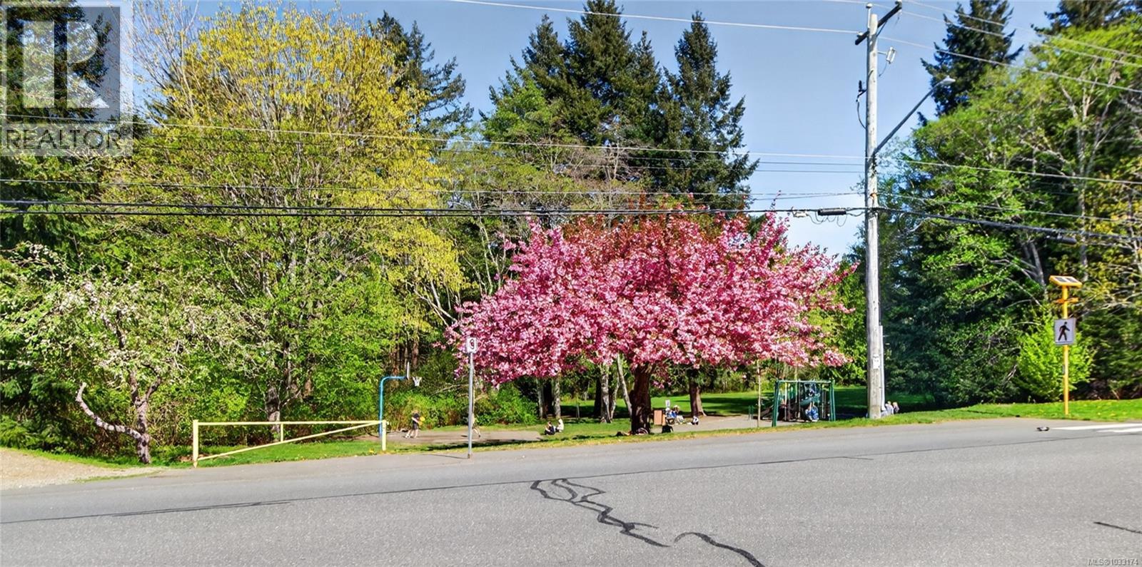 #104 4699 Alderwood Pl - 34