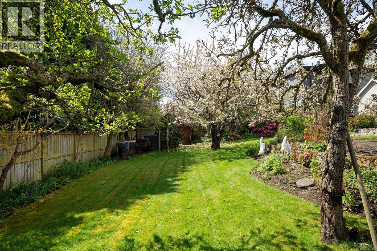  1541 Despard Avenue, Victoria