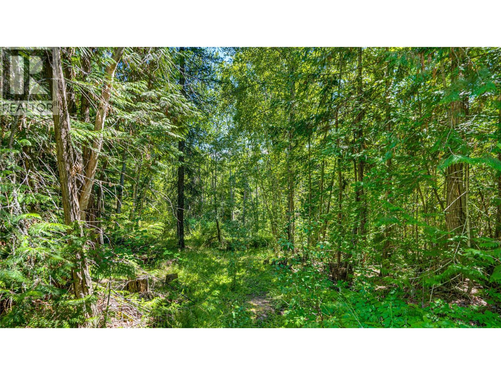 8450 Silver Star Road, Vernon