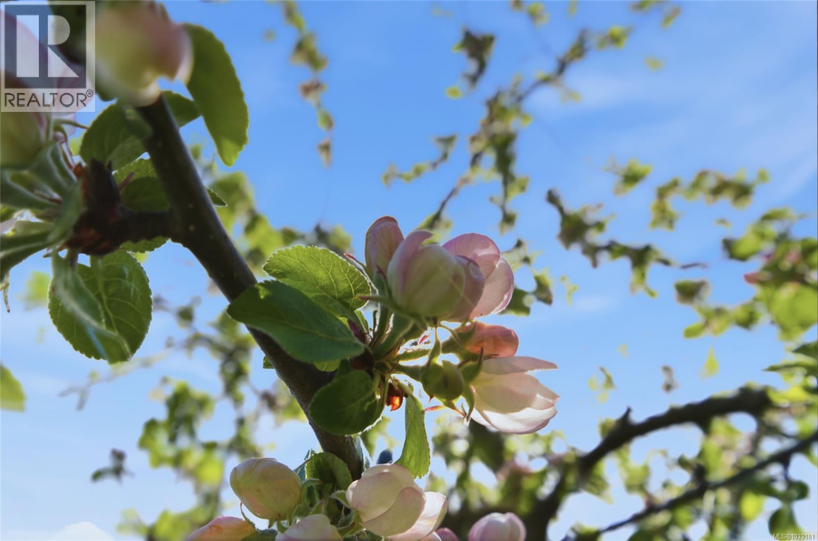 468 Mulberry Dr - 20