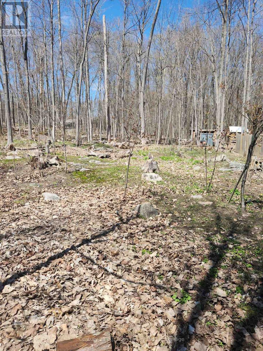 Facing Back fence line
