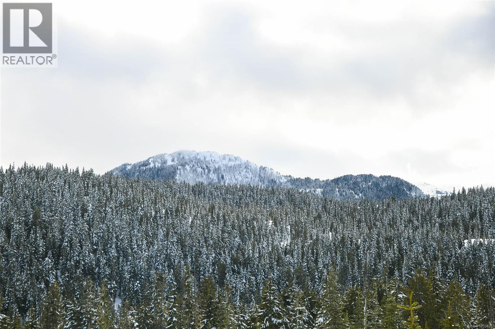 570 Arrowsmith Ridge - 23