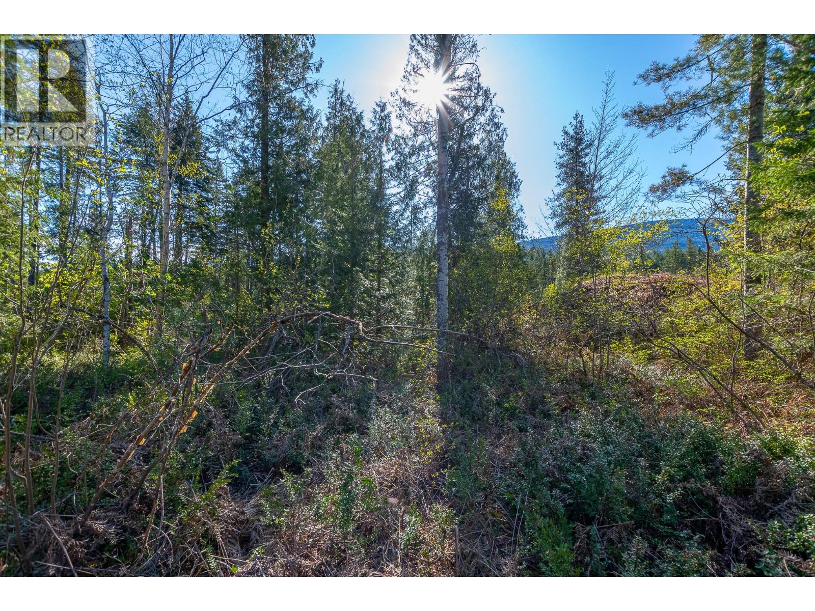  Lot 2 Bloomquist Road, Malakwa
