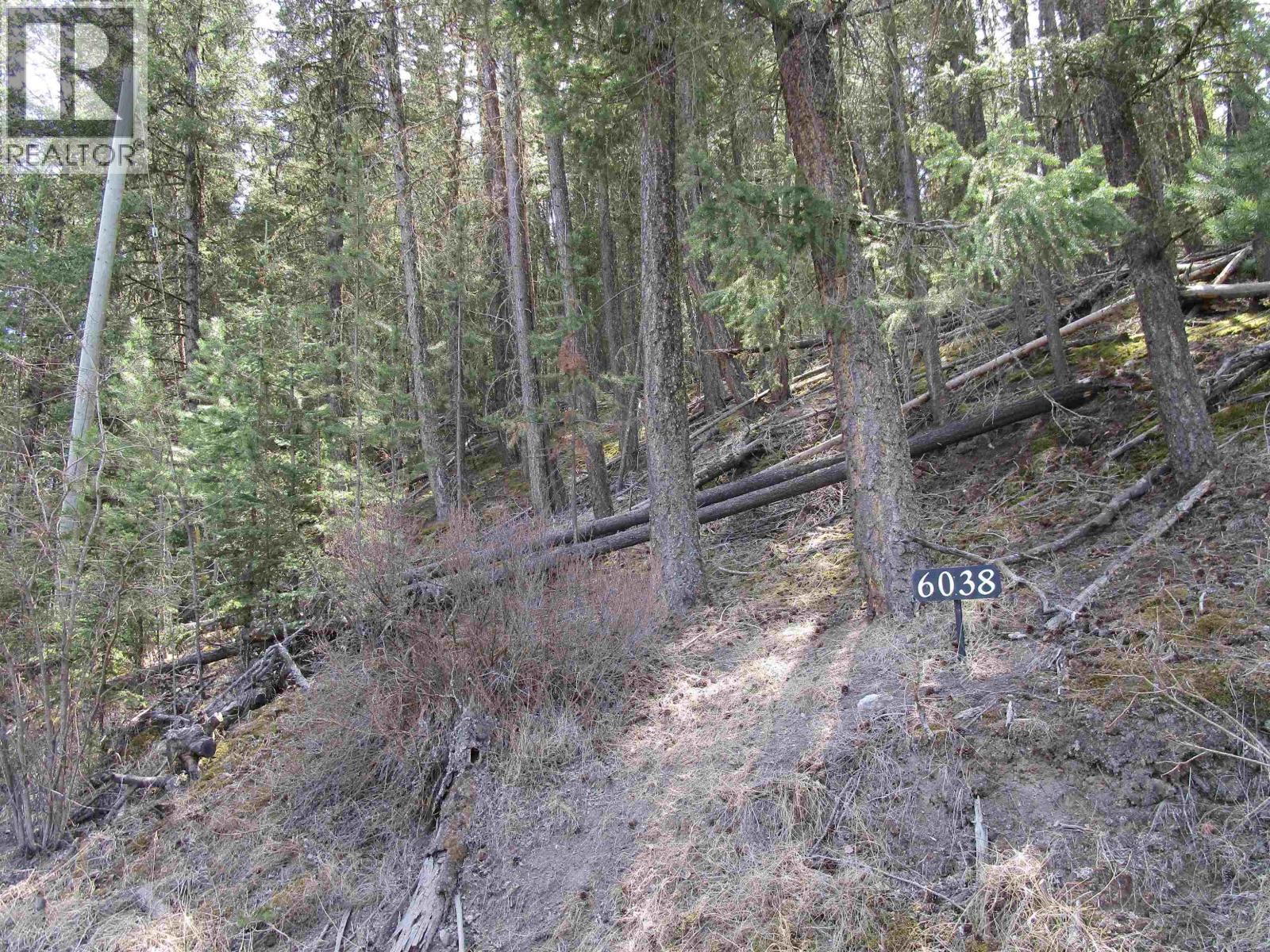 6038 EASZEE DRIVE - photo 2