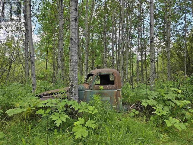 4633-4651 BARKERVILLE HIGHWAY - 29