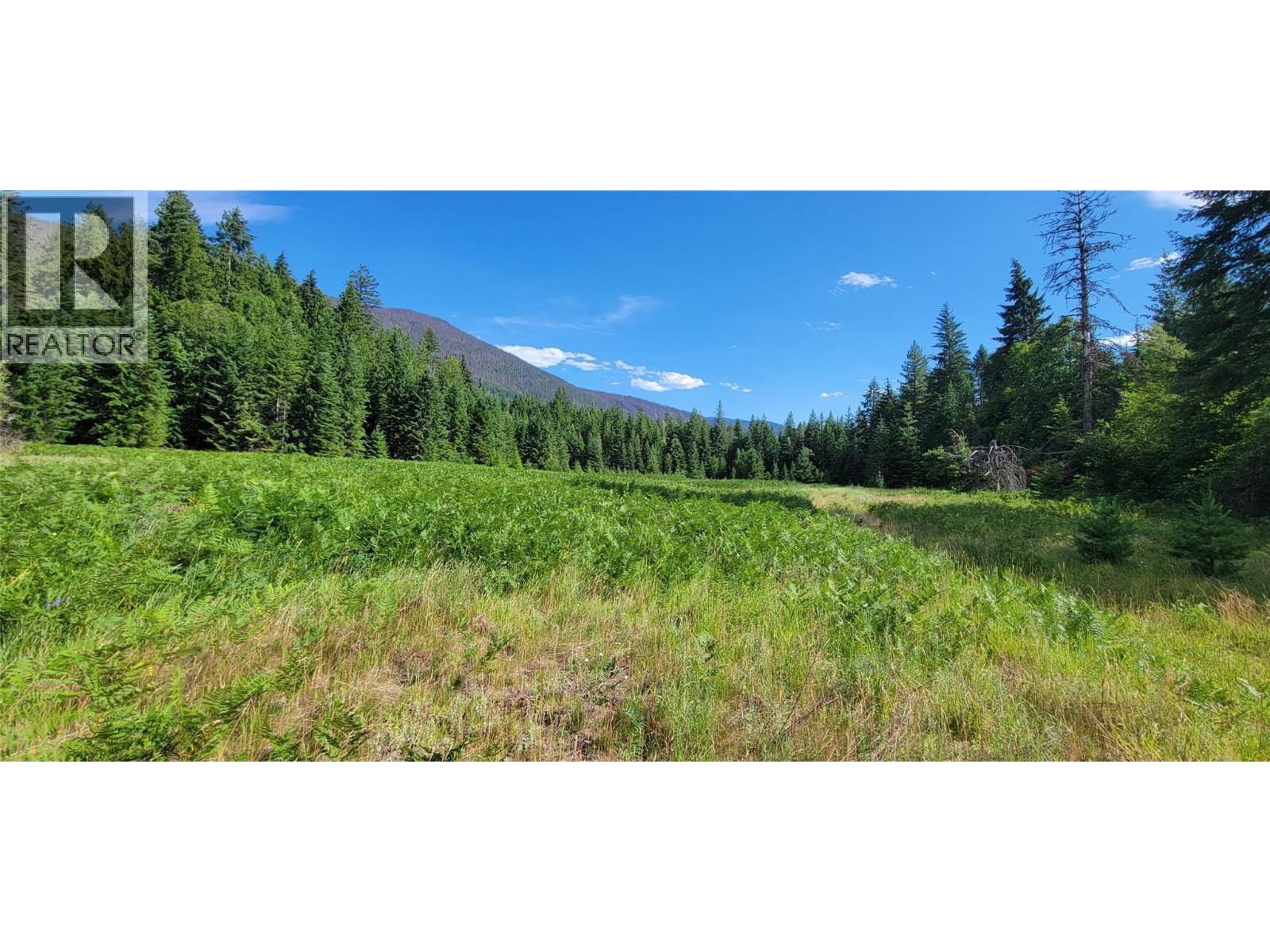 4 acre field