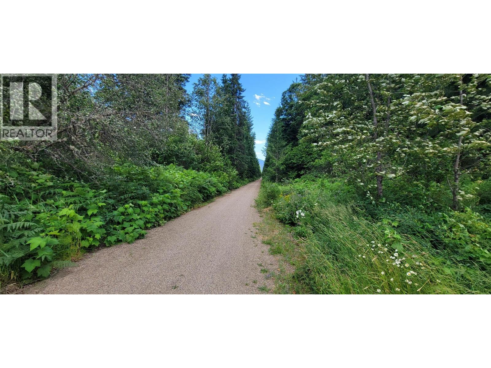 Rail trail looking south