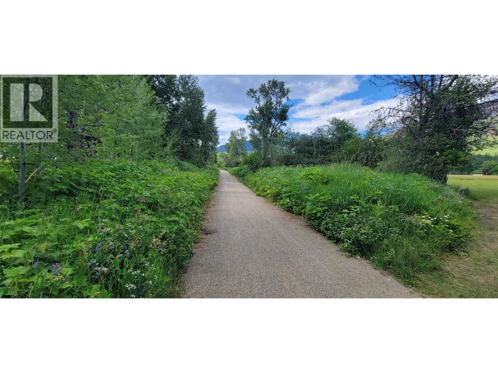rail trail looking north