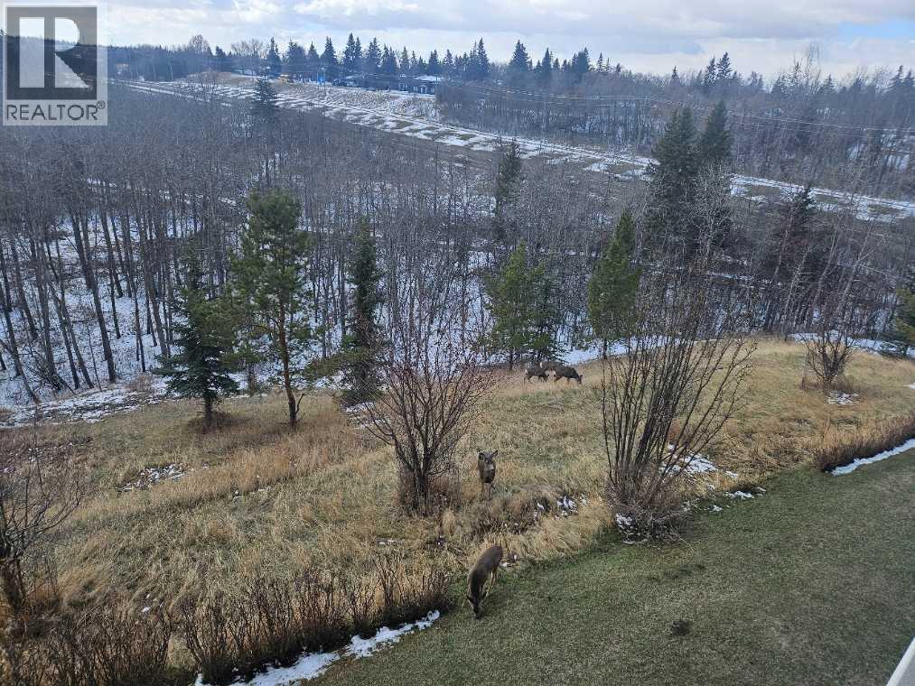 5217 39 Street, Red Deer