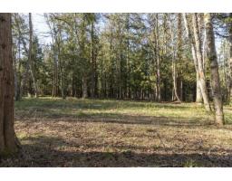 17438 28 Avenue, Surrey, BC V3Z0E7 Photo 40