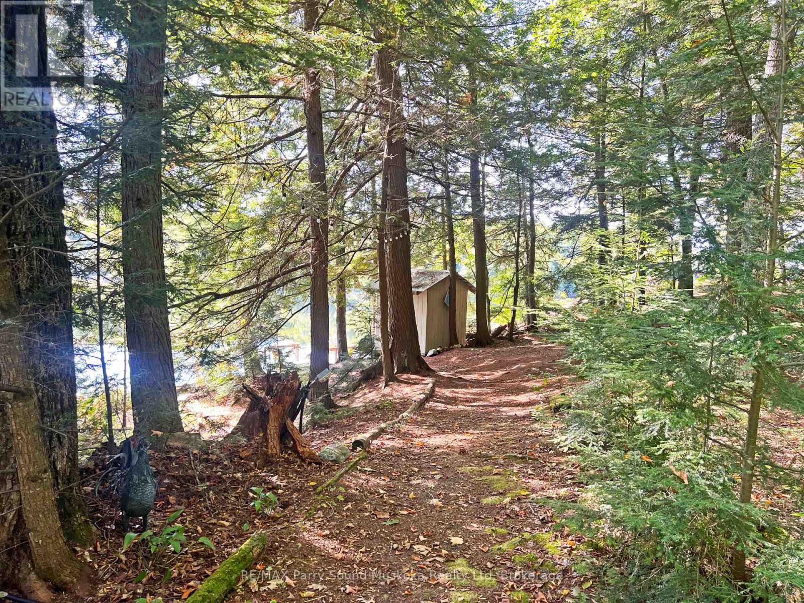 Meandering paths