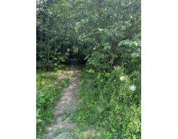 18 Ch. Des Faisans, Val Des Monts, QC J8N6L6 Photo 7