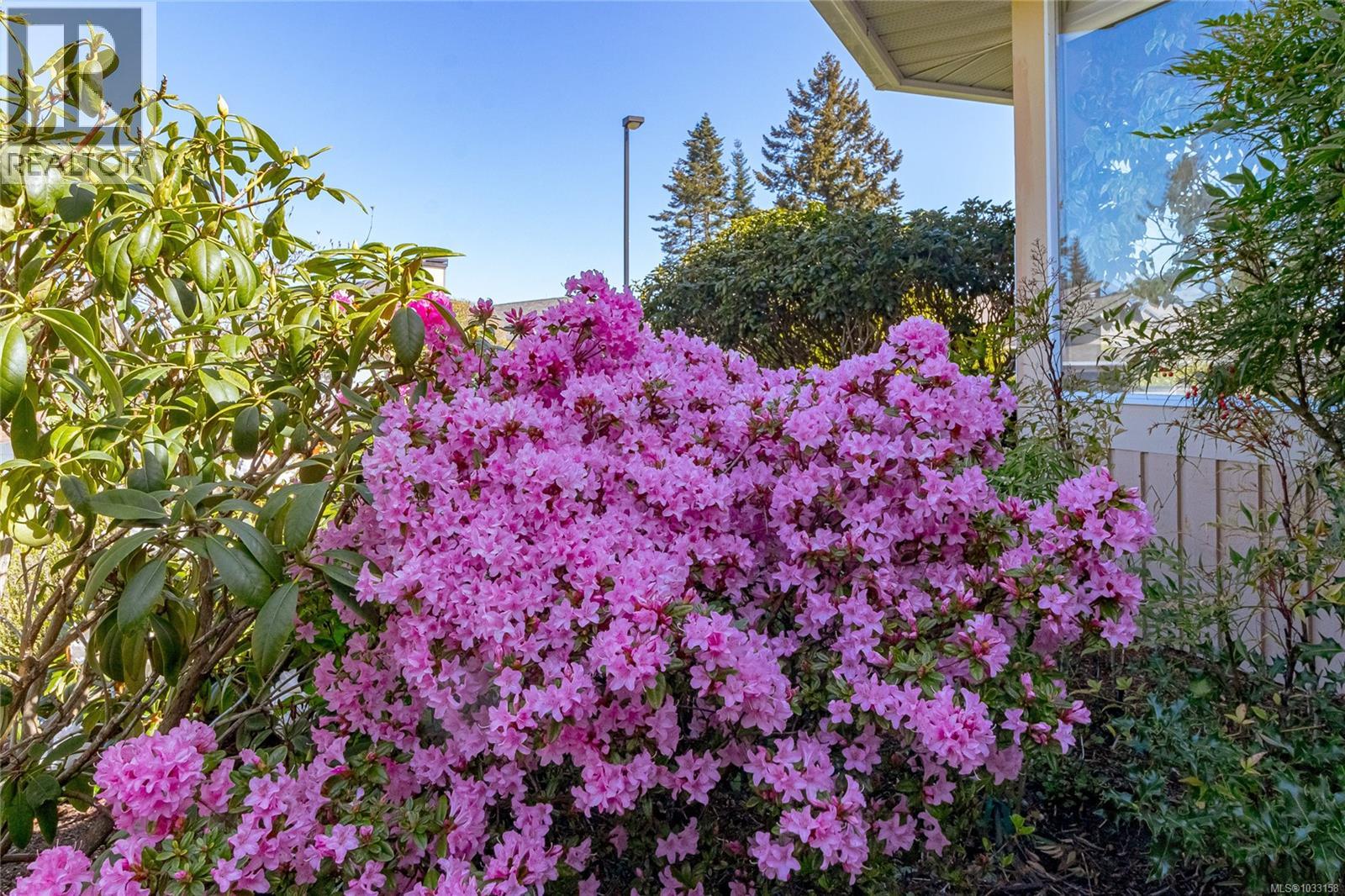 3678 Arbutus Dr N - 50