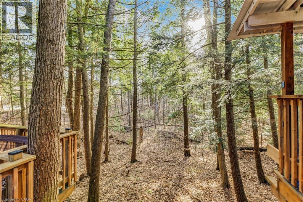 Wooded property featuring mature evergreen trees and a ground cover of fallen leaves