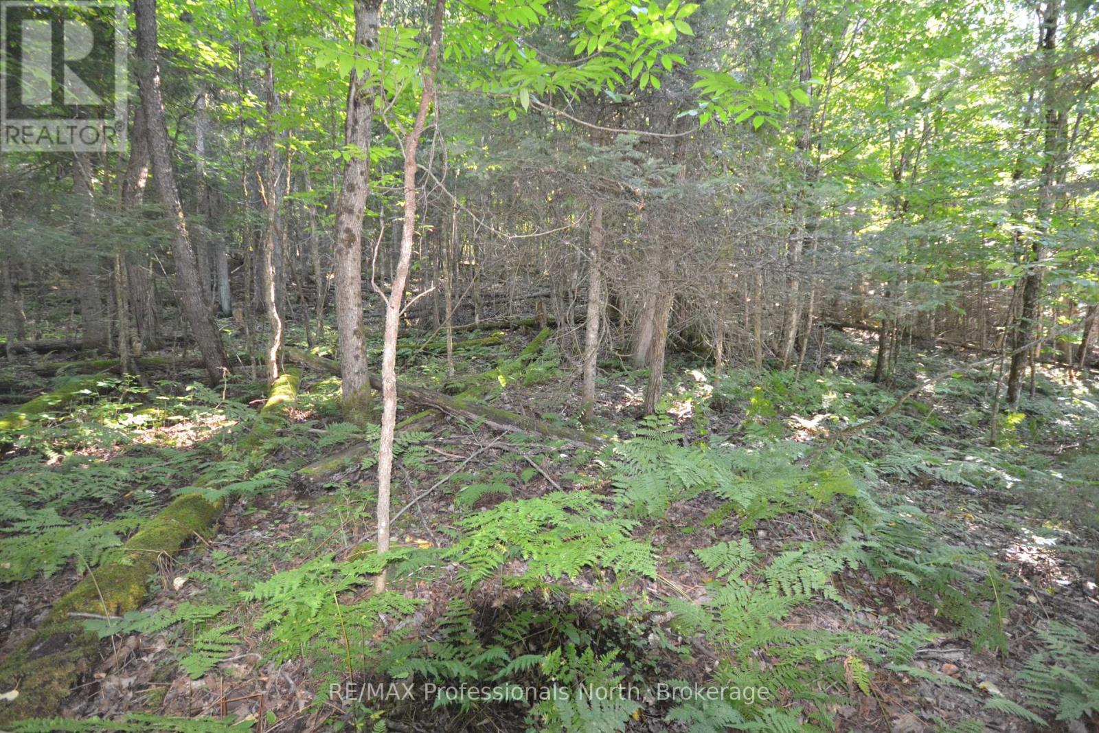 0 FRED JONES ROAD — photo 11